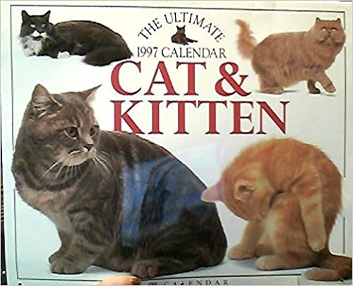 Cal 97 Ultimate Cat & Kitten indir
