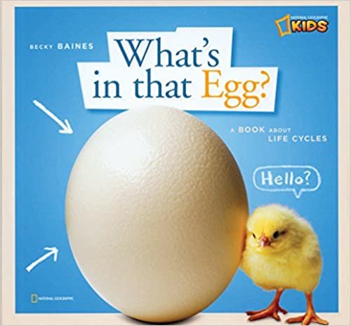 Zigzag: What's in That Egg? (Zigzag)