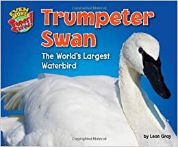 Trumpeter Swan: The World's Largest Waterbird (Even More Supersized!)