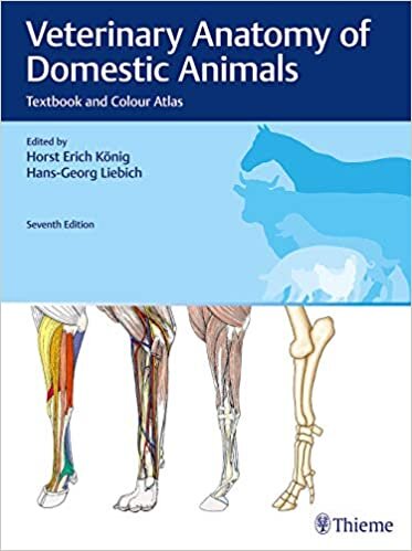 Veterinary Anatomy of Domestic Animals: Textbook and Colour Atlas