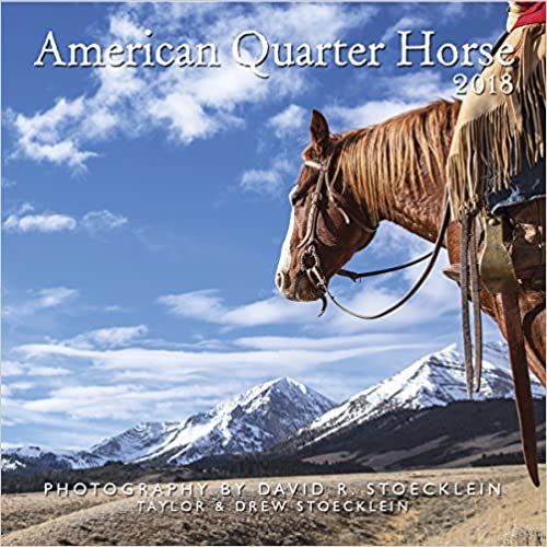 American Quarter Horse 2018 Calendar