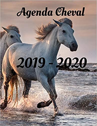 Agenda Cheval 2019 - 2020: Agenda 2019-2020 : Chevaux | Planning annuel de 366 pages grand modèle | Organiser votre semaine. Organisation mensuelle de ... familiale. Organisation hebdomadaire indir