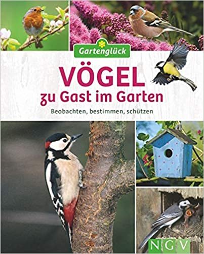 Vögel zu Gast im Garten: Beobachten, bestimmen, schützen