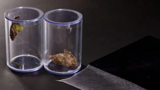 01KBQQ0HVD64RY6Z0XTMCCZAJY-v1