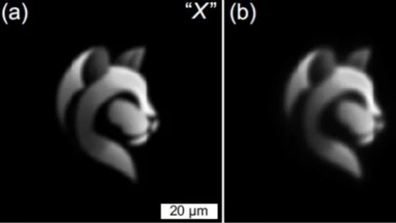 01KBQVSSS2DXP6TP5M6D8N5NSM-v1