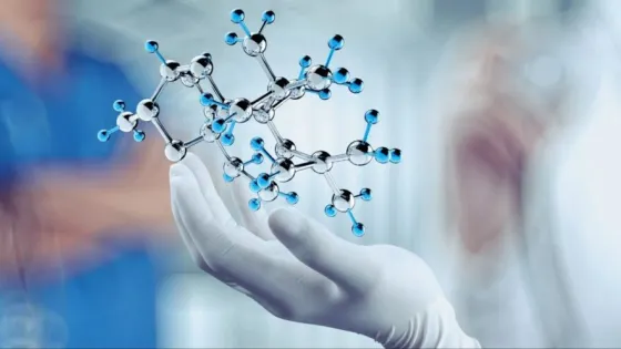 img_20250726_235610_198-1024x497