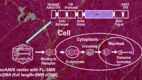 6931fd6aa9060_img_tablet