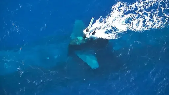 f829b5b4-ddd4-4479-bae5-c83a56456f4e