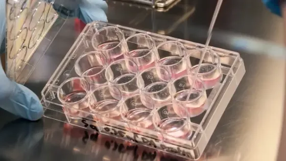 d46b16d9-3a06-46e8-8b34-55cd00881325