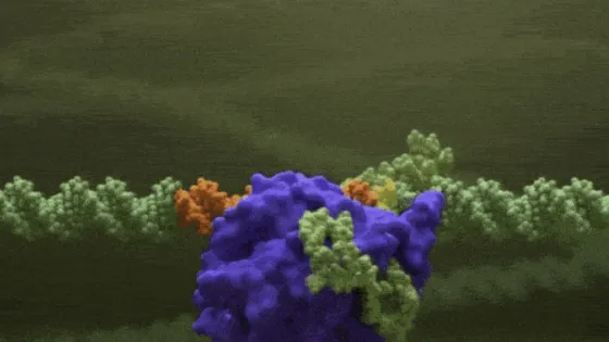 Снимок экрана 2025-12-11 в 22.49.34