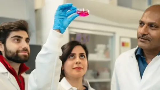 917bb285-14e3-4a0c-b304-21b82f1a5e73