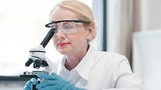 01KCHAQT7HXC47CNXBW4RTTE6N-v1