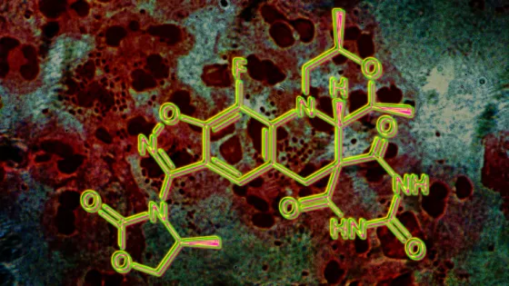 693c751a0acc1_img_tablet