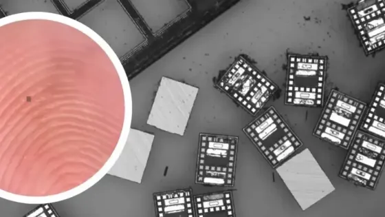 13372b43-9996-458b-a494-c9869727a6d5