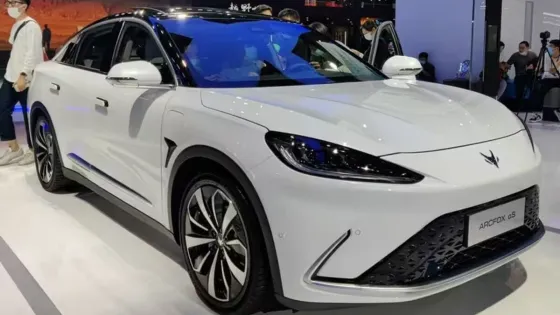 result_Bez-imeni-11-v1