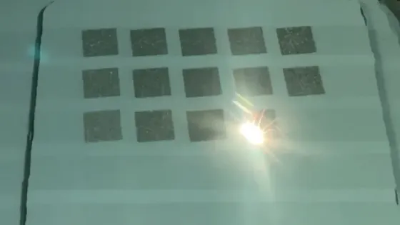 d0426364-8de6-48af-a9a1-961c193291c0