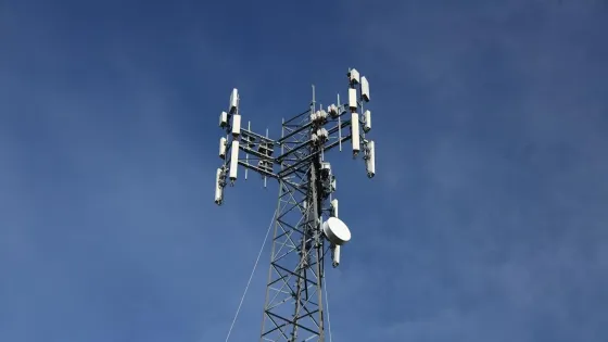 01KCPWYZ8V42BD0EVZPR97WYSA-v1