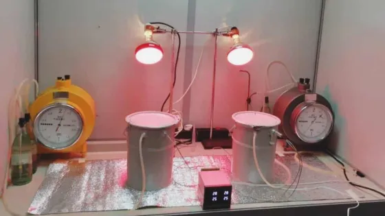 5343604211981159975-v1