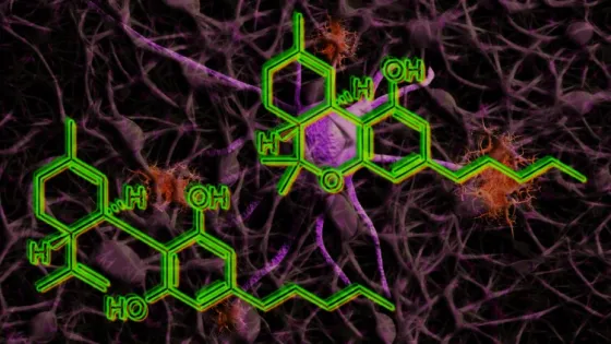 01KD3VTJTRMR17PPVAD45YBAT8-v1