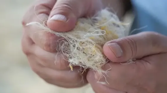 7bd550ae-3457-4dfc-8374-82aa38b03061