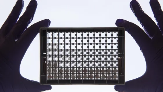 01KD68MGERXDXQKC7K06545K6A-v1