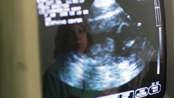 1766509279293298_vum0lhtj