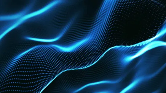 photo_2025-12-24_10-36-511