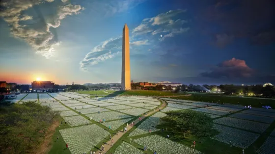 01KEFK6RXAQVAGCG38MPM35GFQ-v1