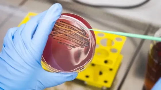 0f15fb6e-68d8-47d4-add9-0fc34566e15f