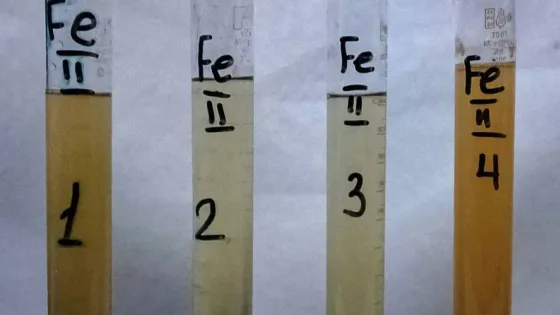 imgonline-com-ua-Auto-levelP6B7q1z4XZ4j_800_0_nocrop-v1