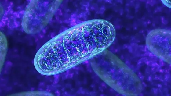 67b34c80-753e-42e6-8ef2-36a8a67d4685