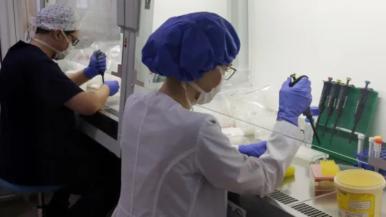 1768466784391591_mwtQYa8o-v1