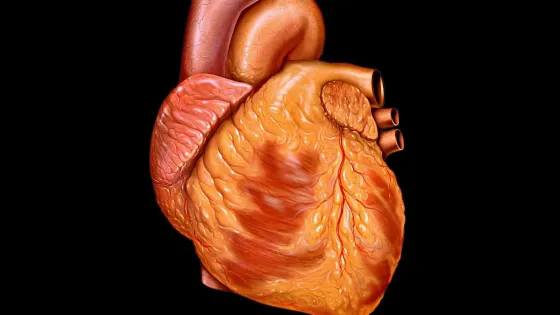 a49c7ee6-3569-4c92-aa90-ac88d31c9f30-v1