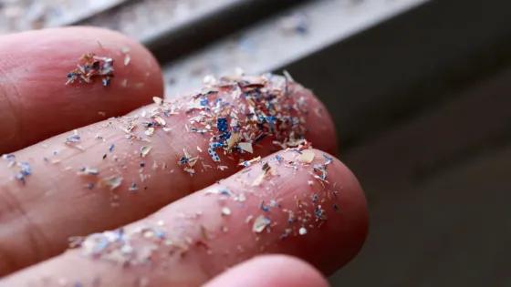 513a64ae87ca2be51d3bd3bfc9037572