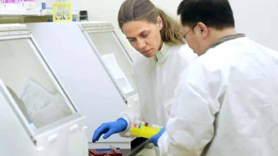 1769002373561726_S9p6qeAs-v1