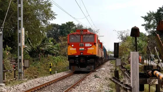 result_photo_2026-01-20_17-38-08-1