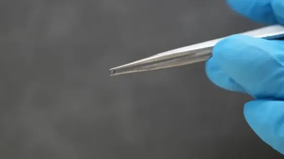 f788f02c-fc65-41a6-aebd-a9f81b578138