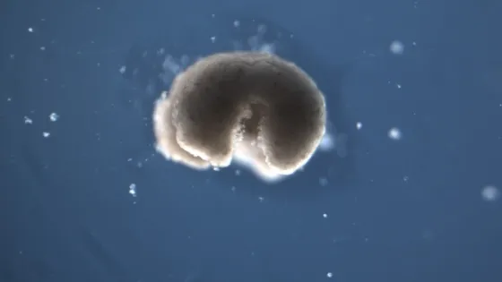 01KFP0QKHD6JSMQE91P98VPSY7-v1