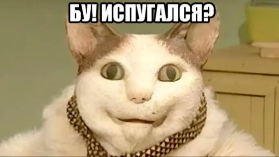 9n0tc4etzlpw3t1h1021gjzhwl226j5k-v1