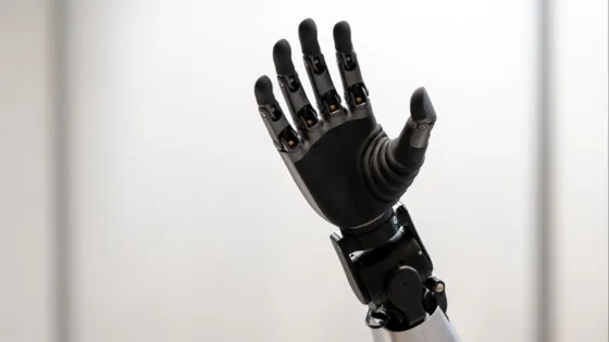 1769423296827277_62LFRZ0X-v1