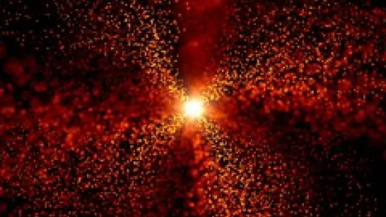 owl_detail_240_22365cab060d02078095c4520489b8ea