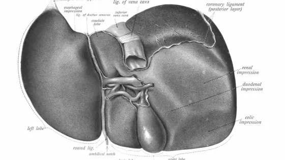 Sobo_1906_389-scaled