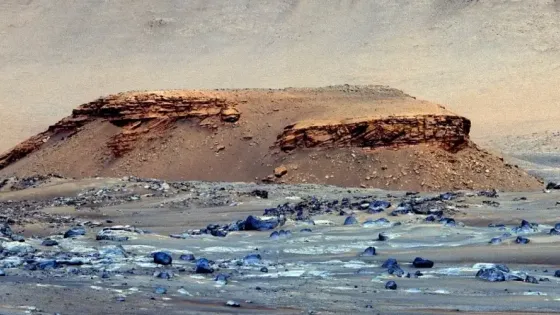 f5539584-61aa-4dd4-a19d-0020507c3621