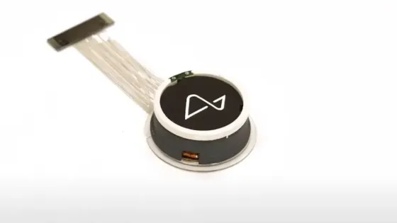 Blindsight от Neuralink вернет зрение слепым от рождения уже в 2026 году