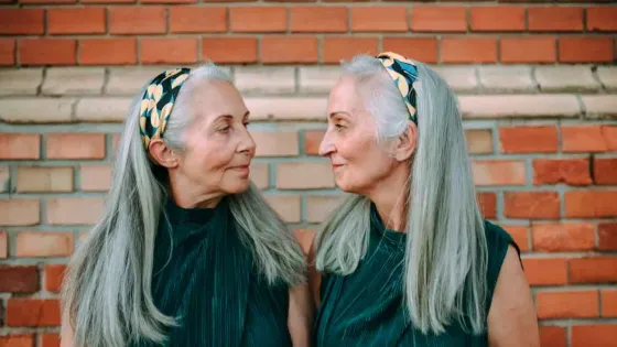 01KG878Z1YP4DBSF781XGWHET9-v1