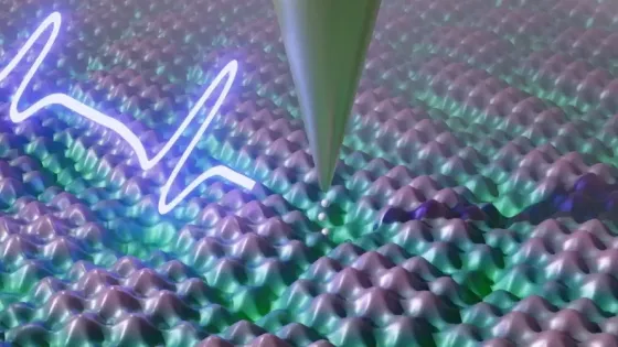 f2b563f2-62ad-4a17-986f-7f846a97e68b