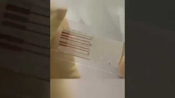 0bdff53a-3101-49ec-a156-c0c055ea76e7