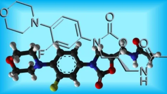 6981dda640b29_img_mobile-v1