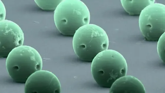 9af8893d-40f3-4410-a5c6-9748f67e0d20