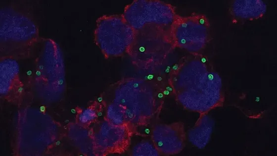 f39a6ece-3db7-4daf-99a8-dcfc55ea0e23